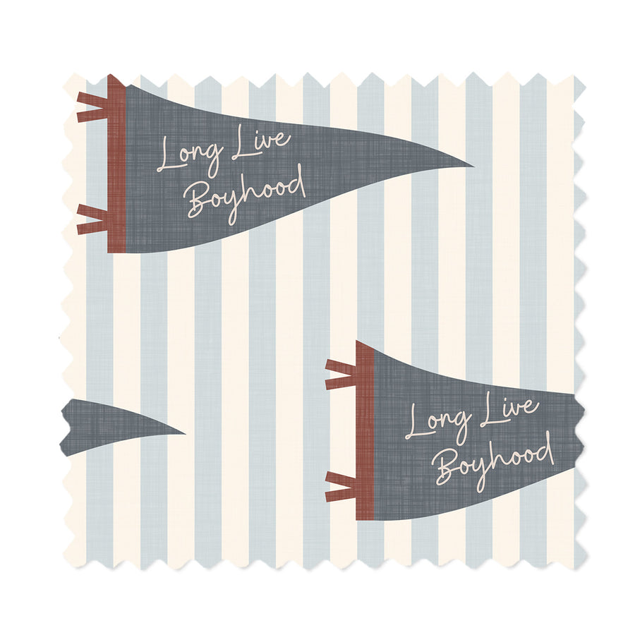 Boyhood Pennant Stripe Sky