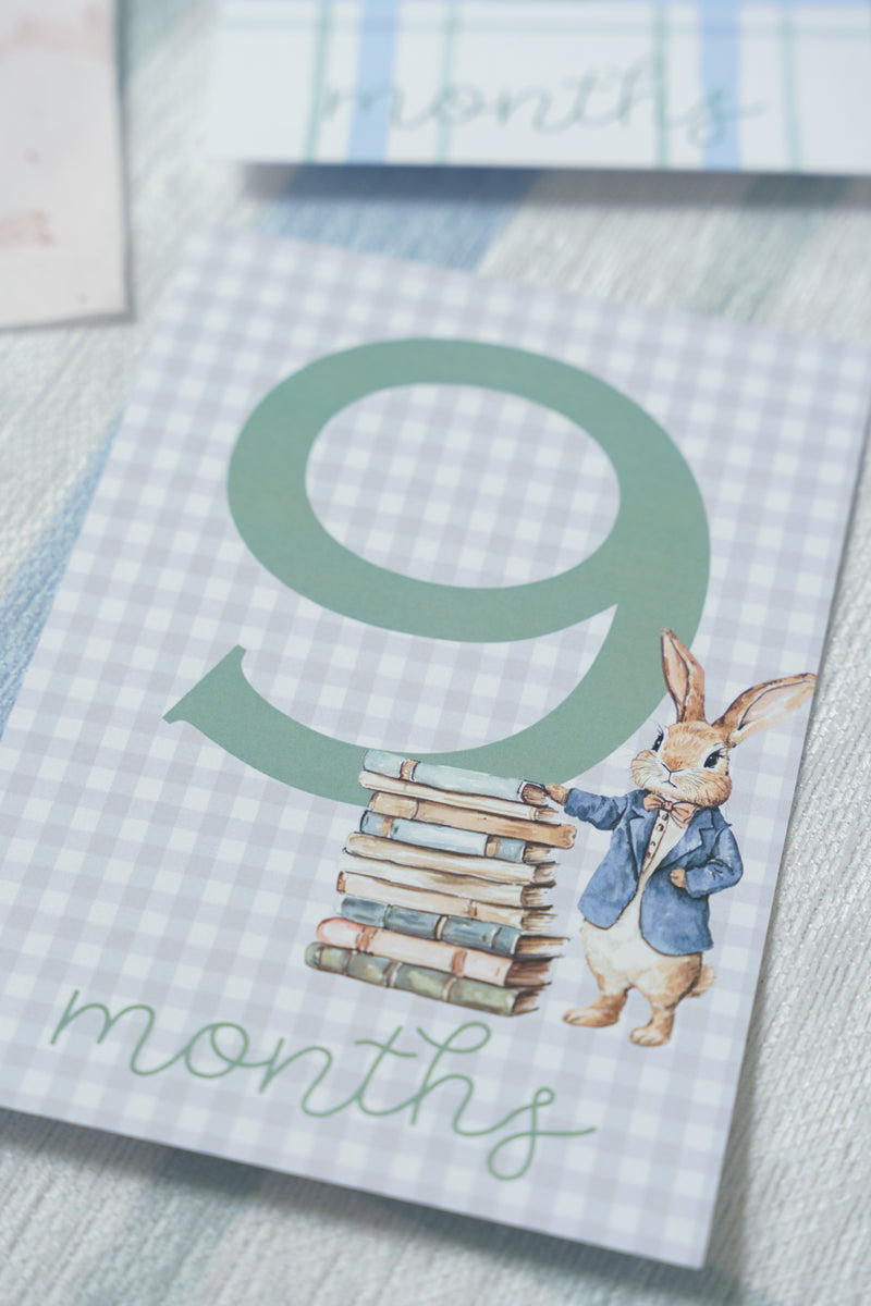 Monthly Milestone Cards | Storybook Cottage