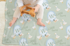 Minky Blanket | Silly Goose