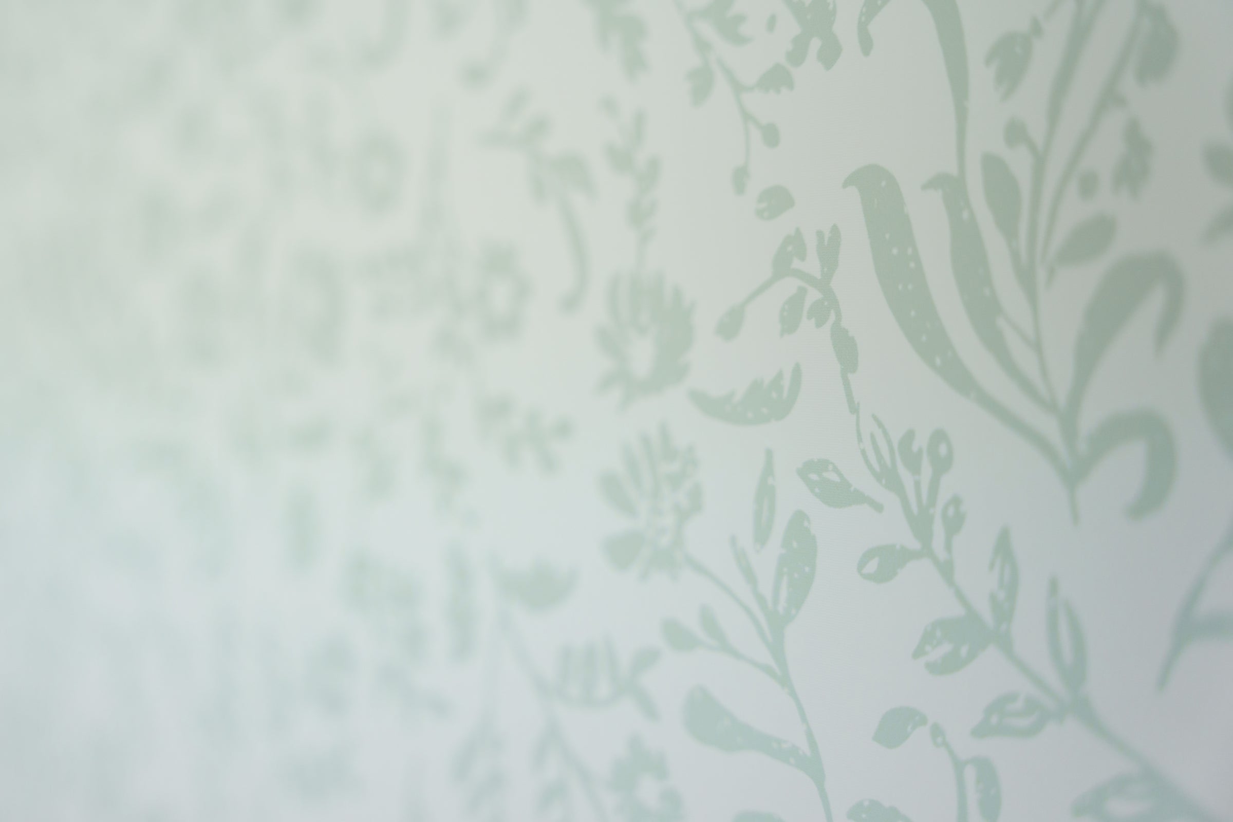 Peel & Stick Wallpaper | Sagewood Toile