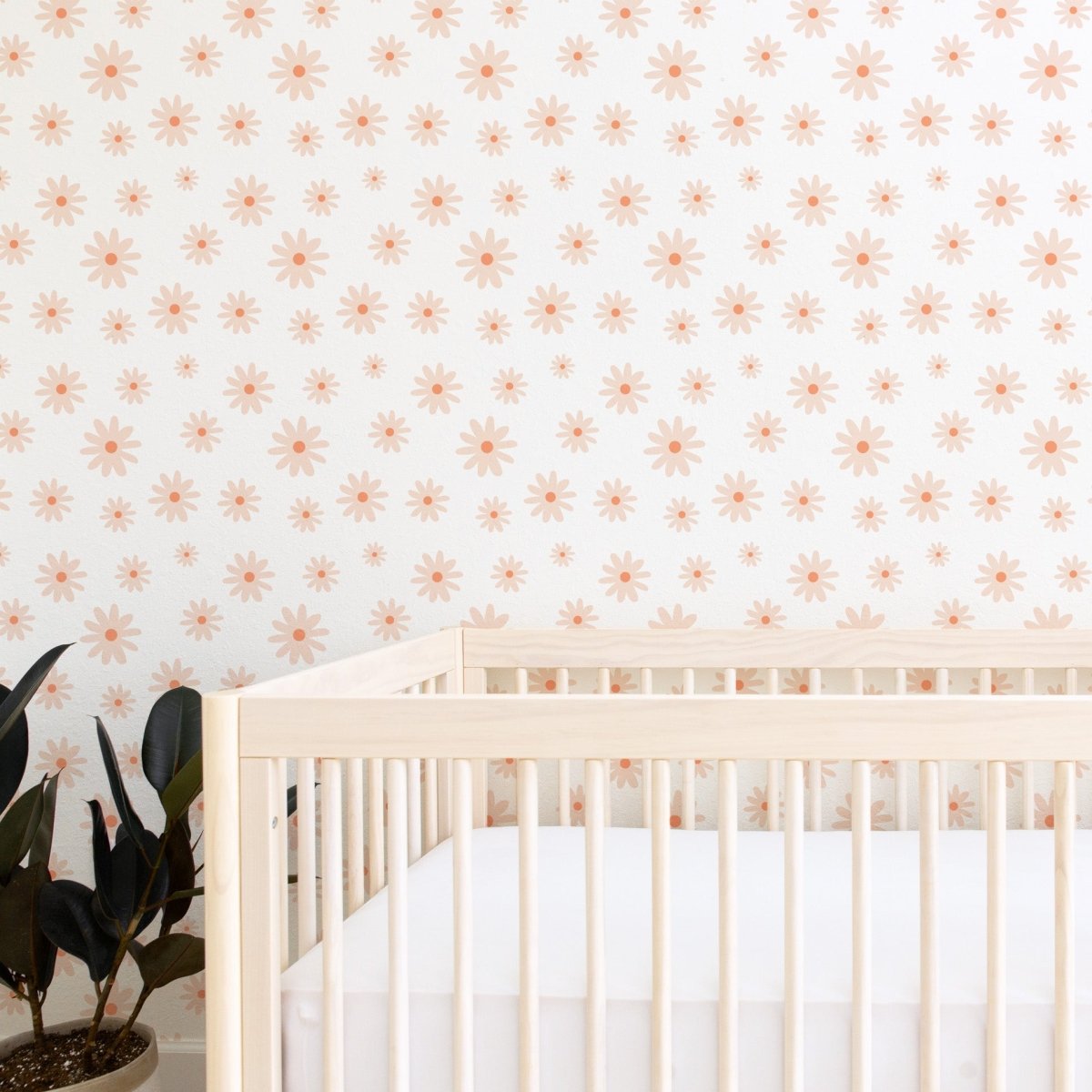 Daisy Floral on White Peel & Stick Wallpaper - Daisy, gender_girl, Theme_Floral