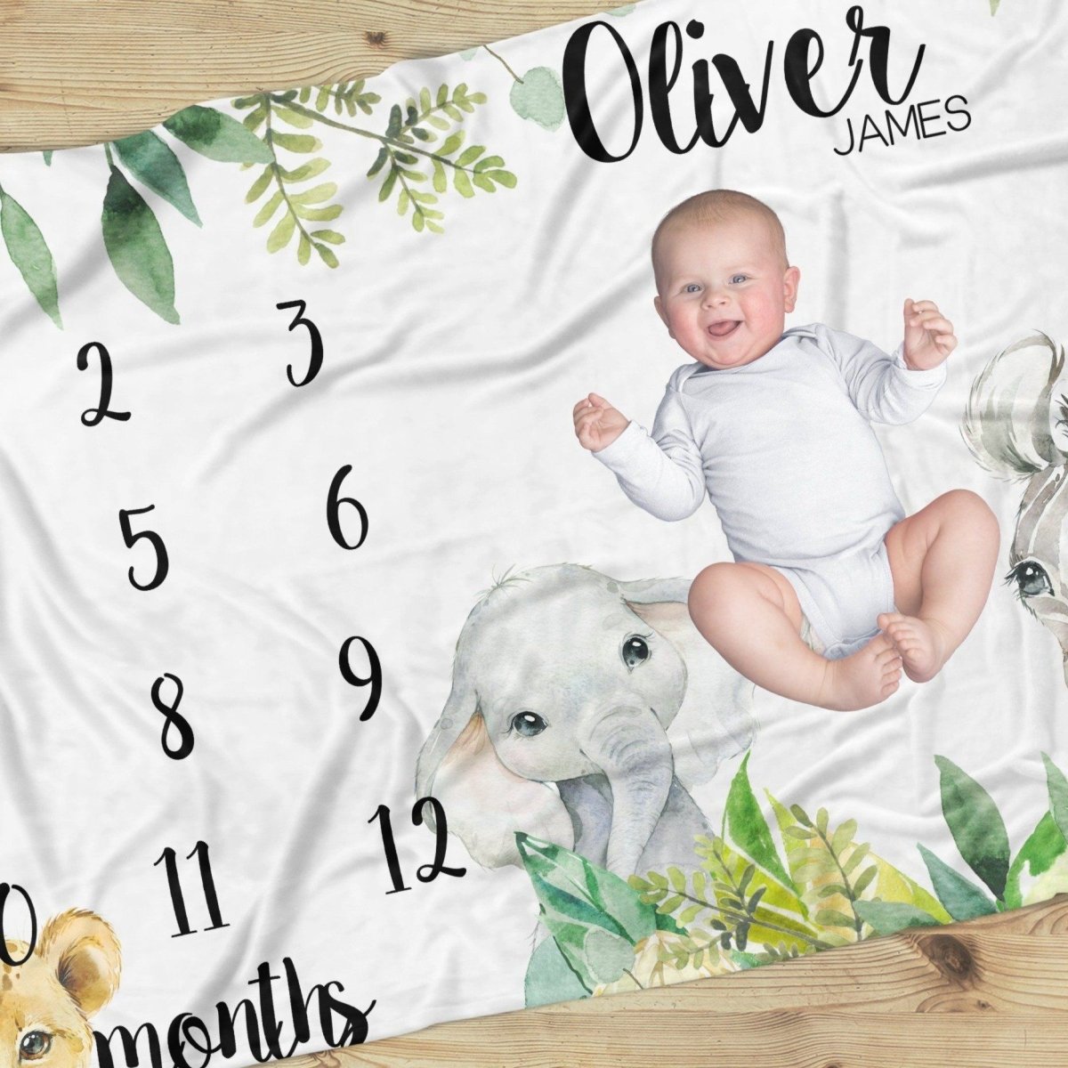 Leafy Jungle Milestone Minky Blanket - gender_boy, Leafy Jungle, text