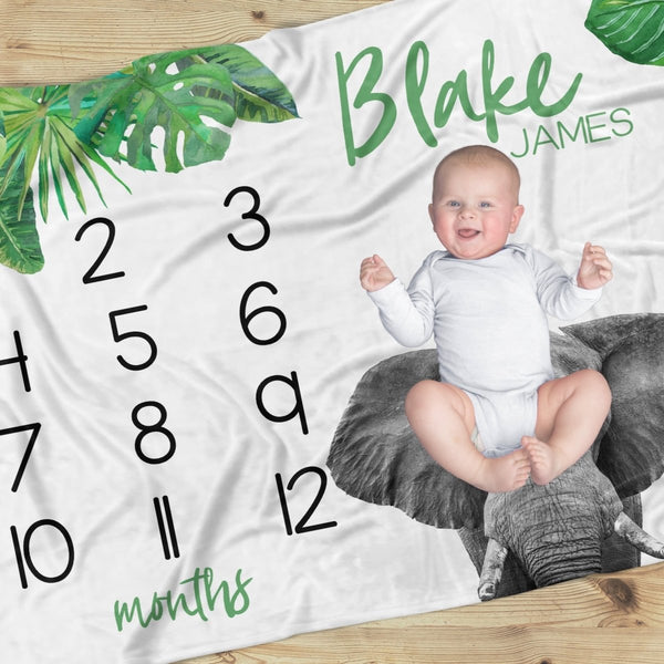 Modern Jungle Milestone Minky Blanket - gender_boy, gender_neutral, Modern Jungle